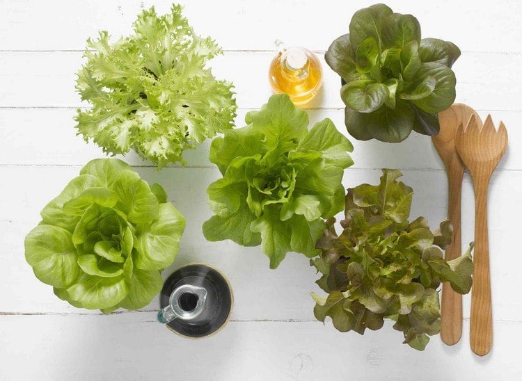 Salat im Topf zu Hause anbauen verschiedene Salatsorten