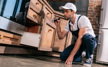 Schädlingsbekämpfung Dienst Stuttgart Schädlinge bekämpfen Tipps