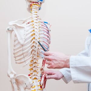 forscher erklärt die anatomische struktur der wirbelsäule auf einem skelett