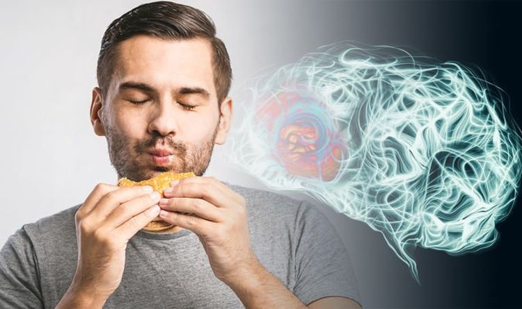 hamburger und verarbeitete fleischprodukte können bei hohem fleischkonsum zu demenzerkrankungen führen