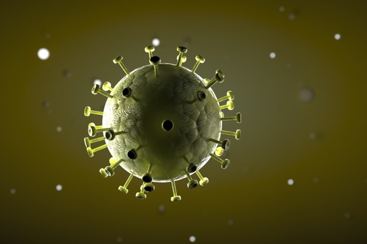 in 3d dargestellte chronische hepatitis b mit rezeptoren