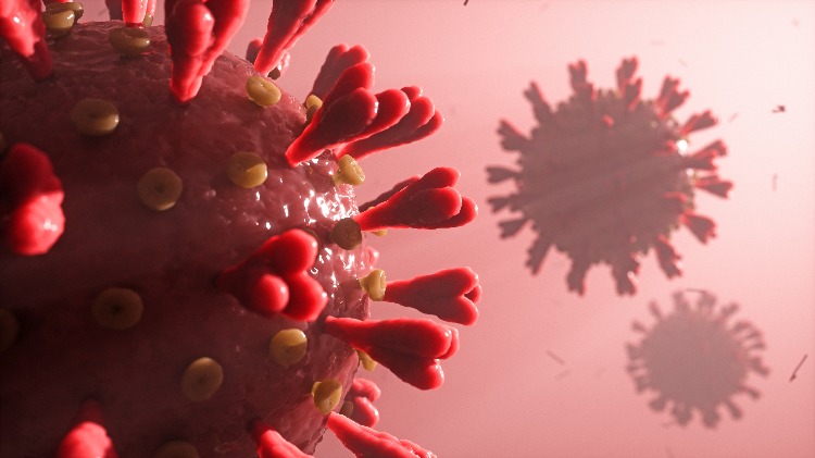 in rot dargestellten coronaviren bei einer infektion mit sars cov 2