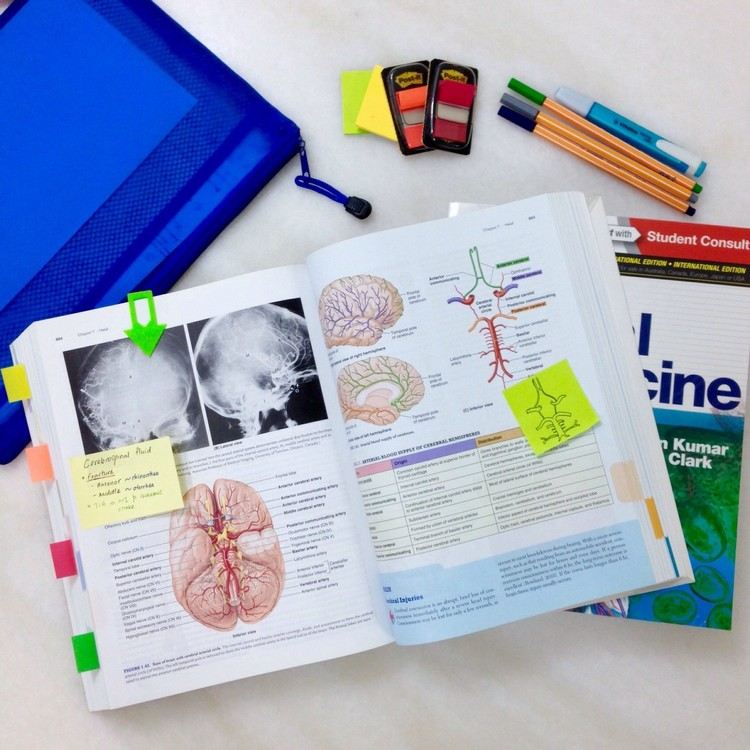 medizinische Bücher sich für Prüfung vorbereiten