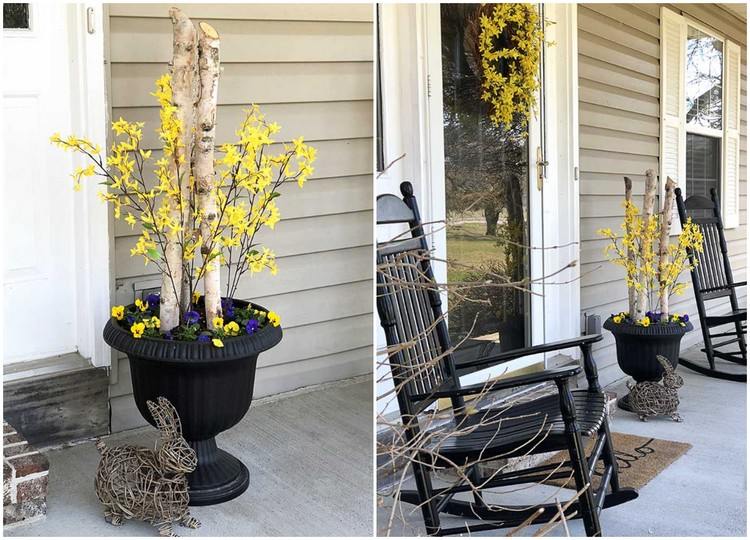schöne Frühlingsdeko im Außenbereich Pflanzkübel mit Stiefmütterchen und Forsythien
