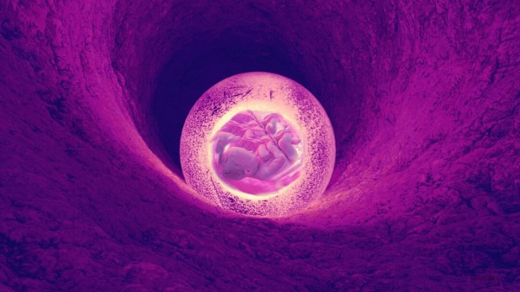 ungeborenes baby im mutterleib während schwangerschaft bei sars cov 2