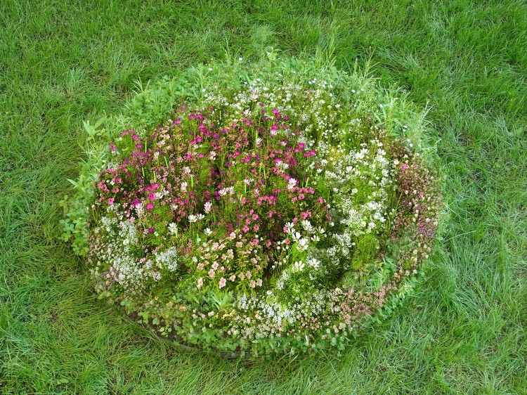 Ein rundes Blumenbeet in die Rasenfläche anlegen