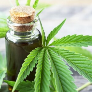 Epilepsie bei Kindern mit medizinischem Cannabis behandeln - Frühzeitige Pubertät