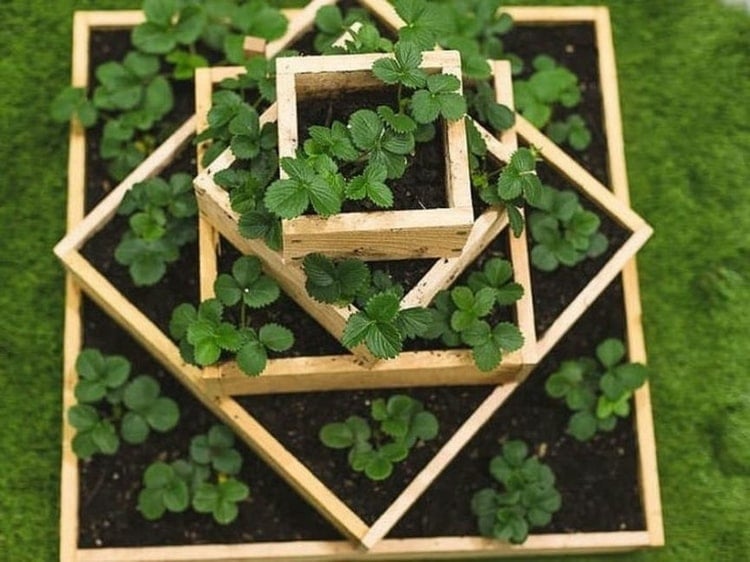 Erdbeerpyramide selber bauen mit versetzten Quadraten aus Holzbrettern