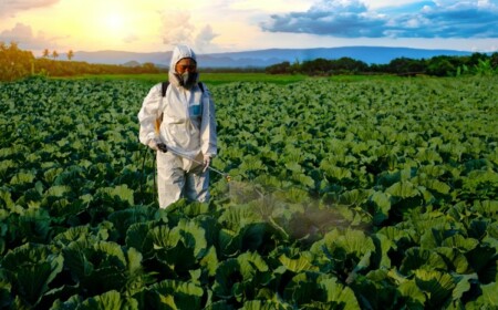 Herbizide sind eine der am häufigsten verwendeten Chemikalien in der Landwirtschaft