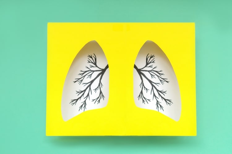Lunge reinigen und stärken - Tipps und Tricks für den Alltag