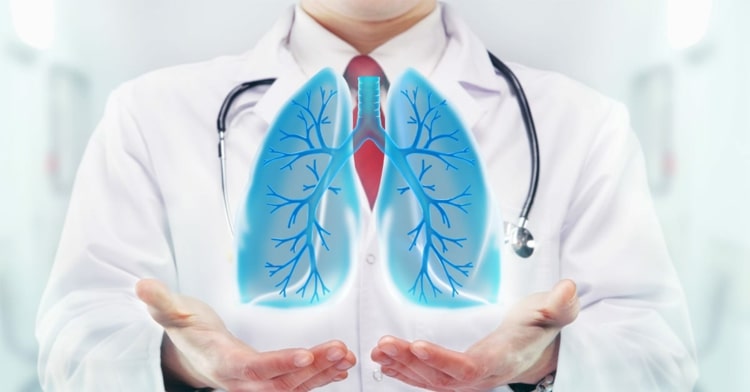 Lunge stärken mit Ernährung - Gesunde Lungen erreichen durch die richtige Ernährungsweise