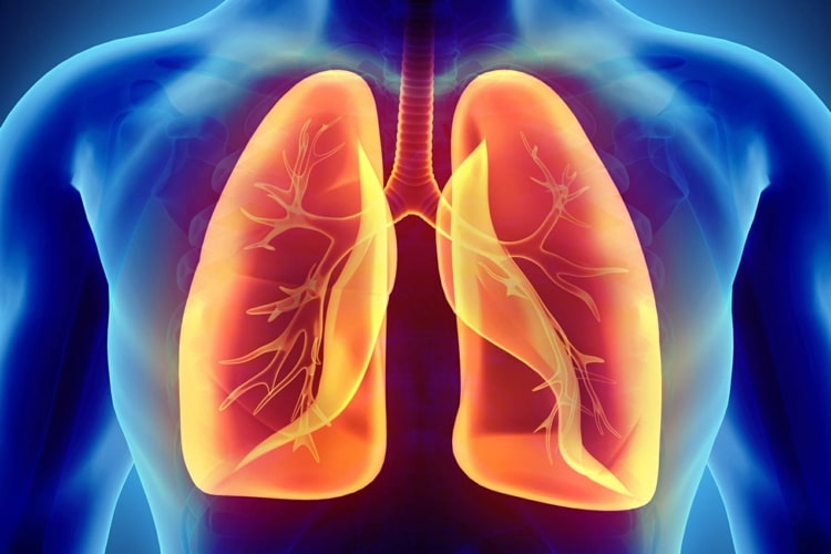 Lunge stärken mit Ernährung - Welche Lebensmittel sind reich an Ballaststoffen
