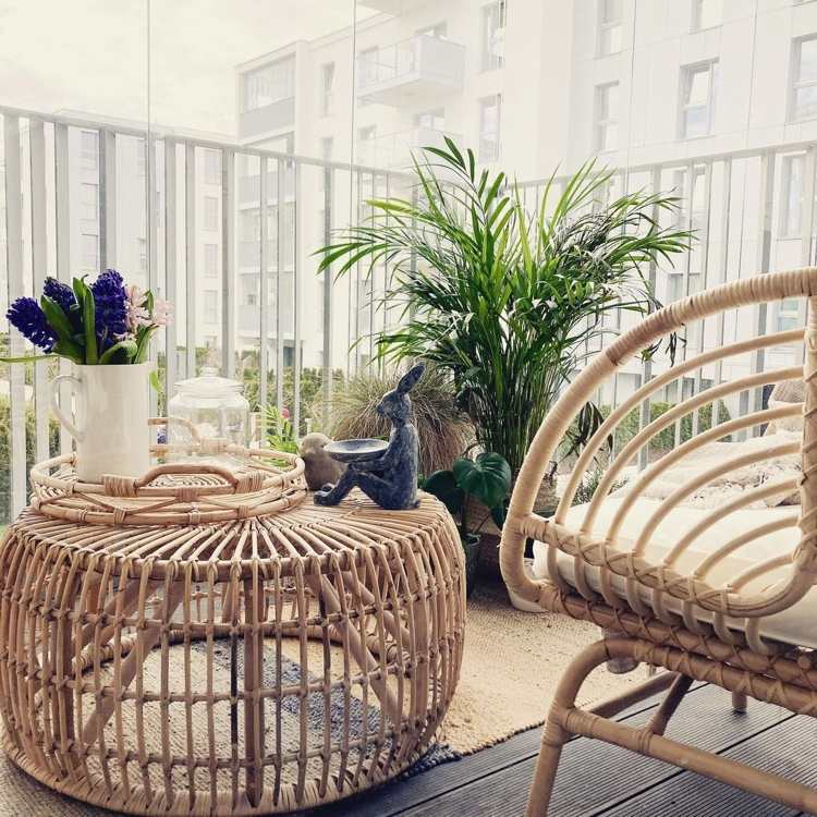 Mini Palme für den Boho style Balkon