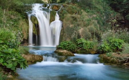 Naturgeräusche gesund in Naturparks und Stadtparks