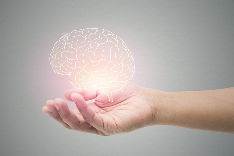 Las placas se encuentran en el cerebro de personas con enfermedad de Alzheimer.