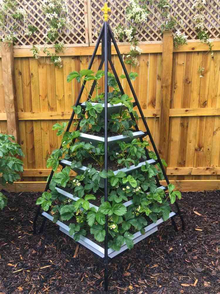 Pyramide zum Bepflanzen mit Erdbeeren aus Metall