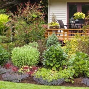 Terrasse bepflanzen Ideen und Anleitung