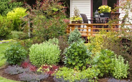 Terrasse bepflanzen Ideen und Anleitung