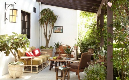 Terrasse mediterran bepflanzen Kübelpflanzen und Kletterpflanzen