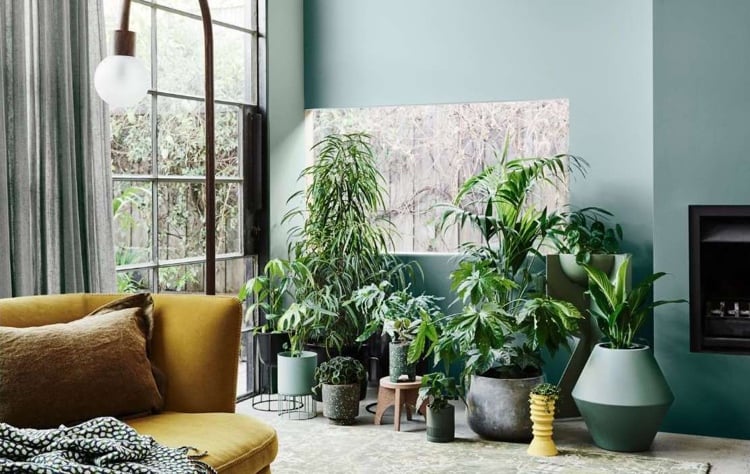 Wohntrend Natur 2021 salbeigrüne Wand und gelbes Sofa