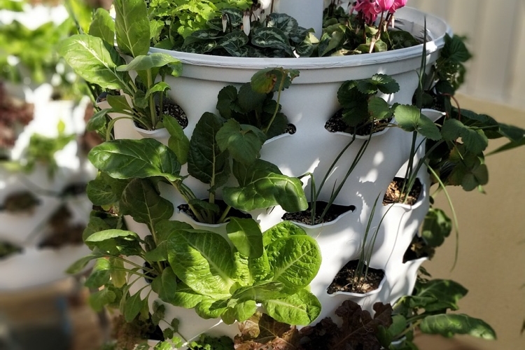 Hochbeet auf dem Balkon bepflanzen mit Salaten Kräutern und Blumen