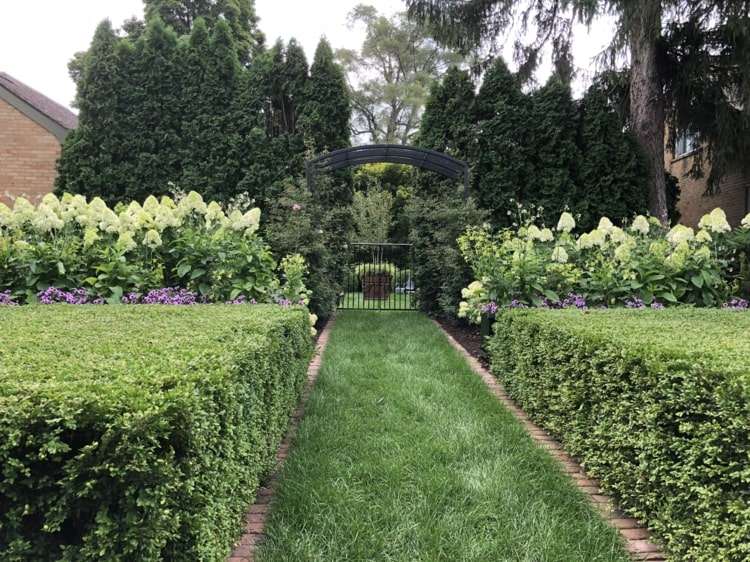 Hortensien und Hecken für ein Garten-Arrangement in Grün-Weiß
