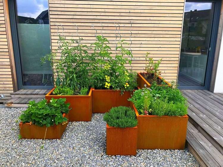 Idee für Cortenstahl Hochbeet an der Terrasse mit Gemüsepflanzen und Zierpflanzen