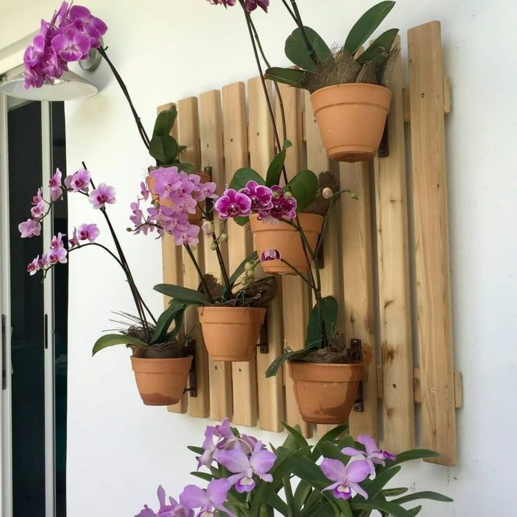 Idee für Orchideen und anderen Schattenpflanzen in Tontöpfen an Holzbrettern