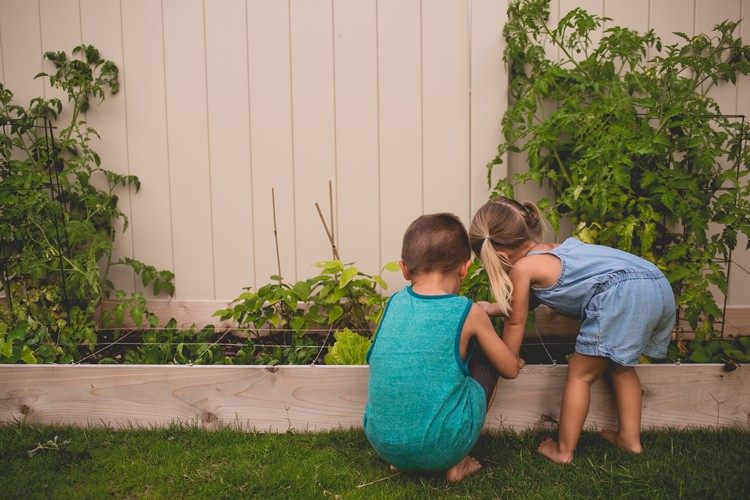 Kinder für den Garten begeistern Gemüsebeet anlegen