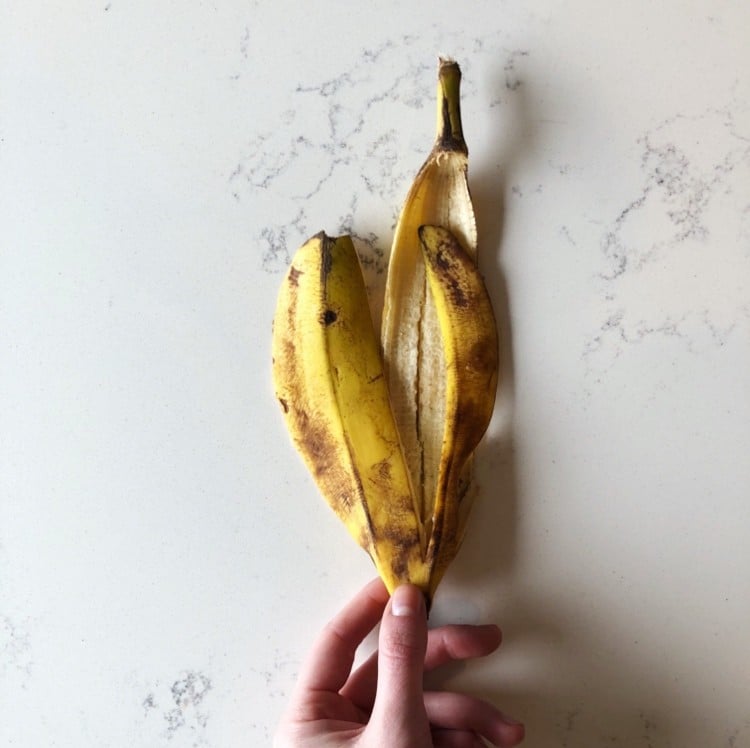 Kompostwürmer mögen Bananenschalen