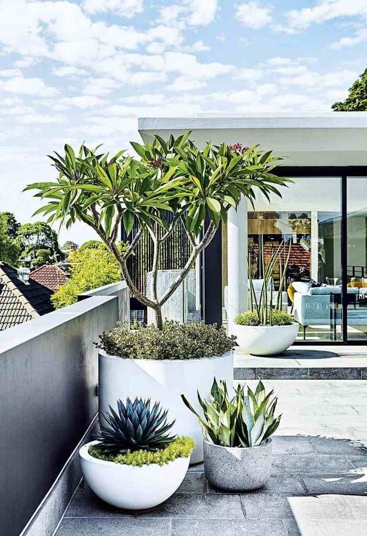 Moderne Terrasse bepflanzen mit Kübelpflanzen