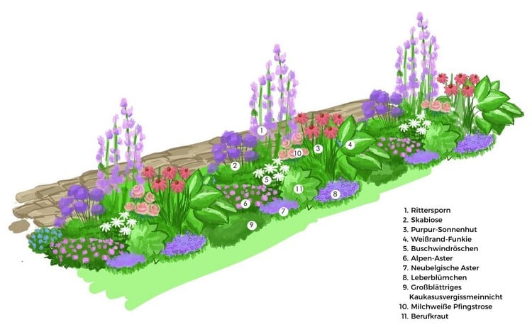 Pflanzplan schmales Beet mit mehrjährigen Blumen