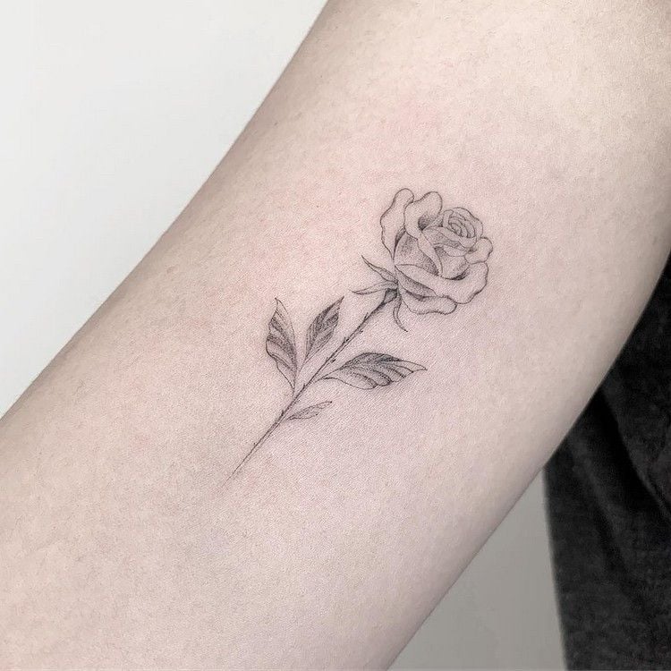 Rose Tattoodesign Oberarm Fineline Tattoo Motive