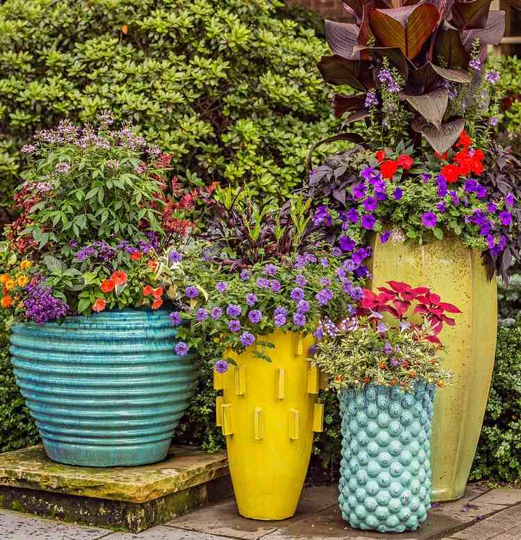 Sommerbepflanzung für Kübel so gestalten Sie Terrasse mit Sommerblumen