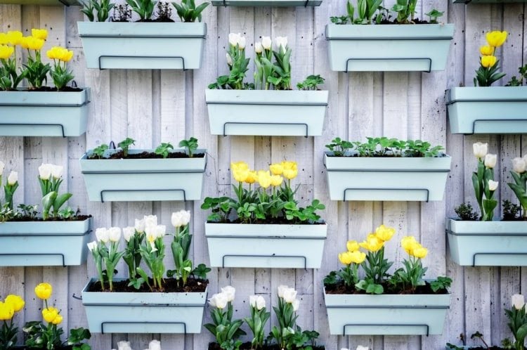 Terrassenwand begrünen mit Blumenkästen zum Aufhängen für bunte Blumen
