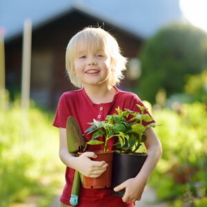 Tipps wie man Kinder fürs Gärtnern begeistern kann