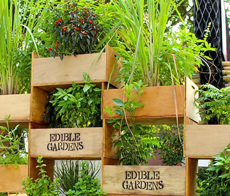 Vertikalen Garten mit essbarem Gemüse auf dem Balkon anlegen