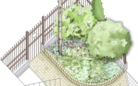 Vorgarten gestalten Nordwest mit Hortensien und Schattenpflanzen