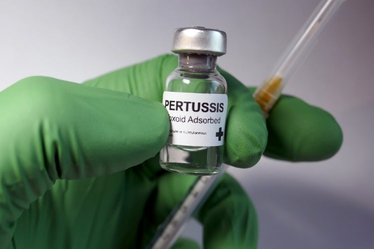 arzt mit gummihandschunen hält eine spritze und pertussis impfstoff in der hand