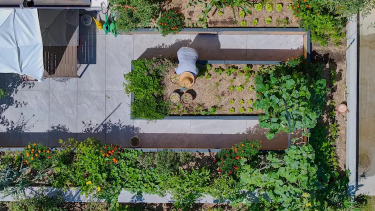 Gartenplaner verschiedene Online Instrumente probieren 