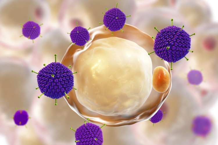 neue technologie verwendet modifiziertes adenovirus als waffe gegen tumoren und covid 19