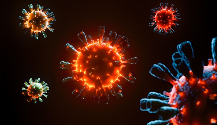 rezeptorbindung bei coronavirus und infektionsverstärkende antikörper erschweren den krankheitsverlauf