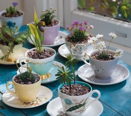 Alte Tassen bepflanzen Minigarten mit Blumen und Pflanzen für Steingarten