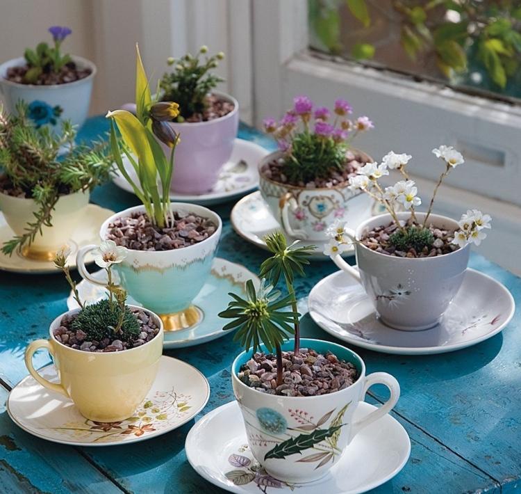 Alte Tassen bepflanzen Minigarten mit Blumen und Pflanzen für Steingarten
