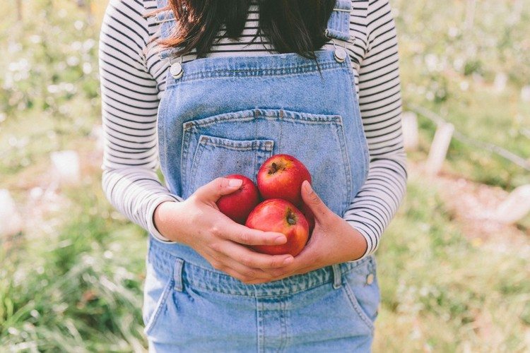 Apfel gut für die Herzgesundheit Tipps