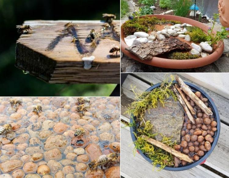 Blähton, Holzbrett und Mini-Teiche machen für Bienen im Frühling und Sommer