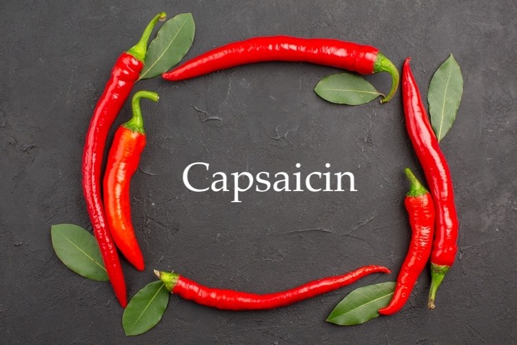 Capsaicin in Chilischoten ist höchst gesund