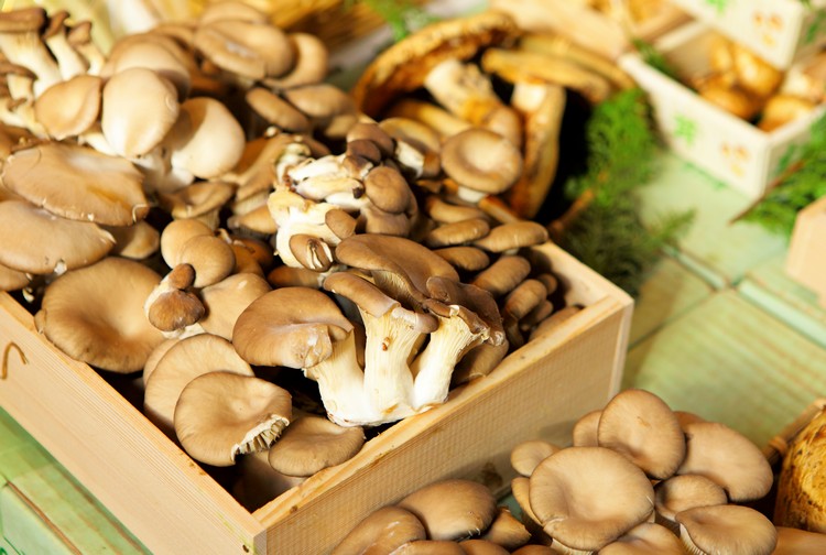 Champignons als Fleischersatz vegan Food Trends 2021