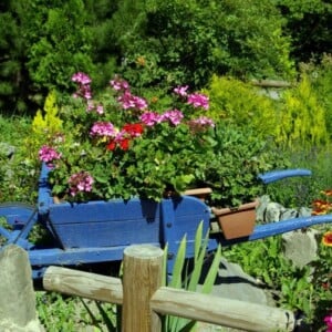Holz Schubkarre bepflanzen mit Blumen Ideen für Sommer