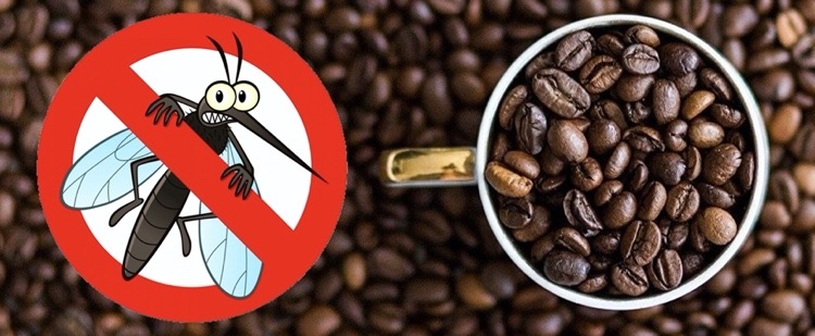 Kaffee gegen Mücken effektives Hausmittel